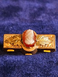 Antique Vintage Nouveau 14k Gold Filled GF Etruscan Carnelian Pin Brooch 3.1g