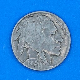 1929 Buffalo Nickel Coin