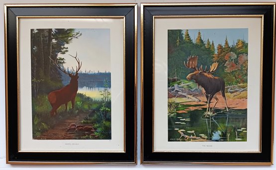 1914 Color Lithographs 'Moose' & 'Elk', Oliver Kemp NJ & Maine Artist 1887-1934, Framed 9.5x 11.5'