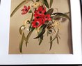 Original Late 1800s 'Flower Study' Chromolithograph By Mme E. Vouga, Swiss, Framed 18x 24'