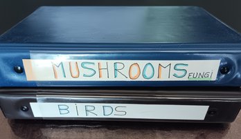 Album W/  Collection Of Stamps Of Birds And Mushrooms, Mint Stamps