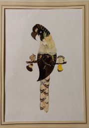 African Butterfly Wing Framed Bird/ Parrot, Art Collage Framed 18 By 15'