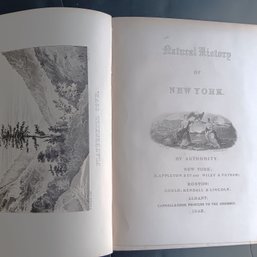 Natural History Of NY, 3 Vol Set, 1842-51,  E.Emmonds, Agriculture, Geology, Farming, Pull-outs, Illustrations
