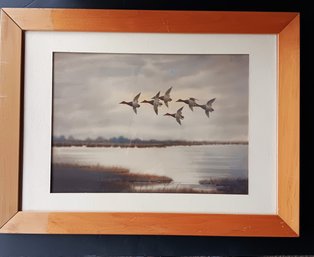 Vintage Hand Colored Etching, Duck Stamp Artist Joseph Day Knap 1875 - 1962, Framed 16x 20'