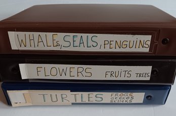 3 Stamp Albums, Displayed In See-thru Packets, Grouped: Whales, Flowers, Turtles Dealer Inventory, Mint Stamps