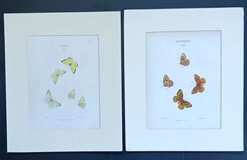 Antique 1870s Hand Colored Litho Butterflies Of North America, Mary Peart