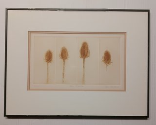 Sara Amatniek Contemporary Engraving 'Four Teasels', Numbered & Signed, Frame 18x 24 Inch