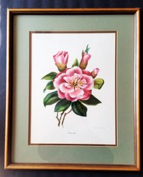 Vintage 1950s Hand Colored Roses By Artist  A.m. Holliday HERMES SPORT  Frame 17.5 By 21 Inch