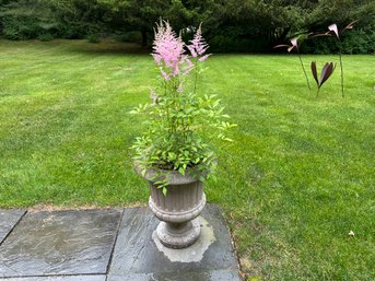 Cement Planter #1 With Astilbe