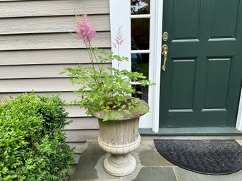Cement Planter #2 With Astilbe