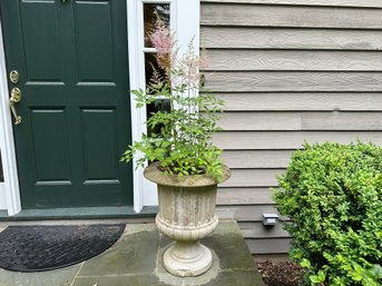 Cement Planter #3 With Astilbe