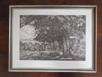 Luigi Lucioni Signed Original Etching. Titled: The Spreading Maple Dated 1947