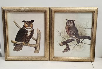 Vintage Framed Owl Prints