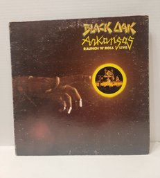 Vintage 1973 Black Oak Arkansas Raunchy 'n Roll Vinyl Lp Tested GC