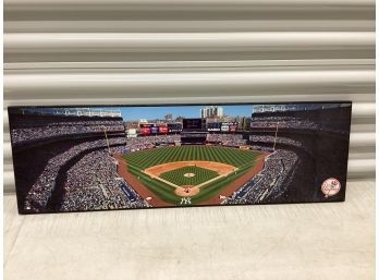 Yankee Stadium Photo Print