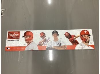 Rawlings Double Sided Advertising