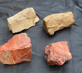 4 Pieces Of Petrified Wood