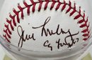 Signed Baseball - No COA Denny Mclain, Jim Longborg, Bob Gibson