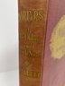 Martyrs Of The Oblong And Little Nine - Hardcover - 1948