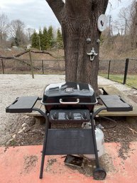 'expert Grill' Propane Gas Grill