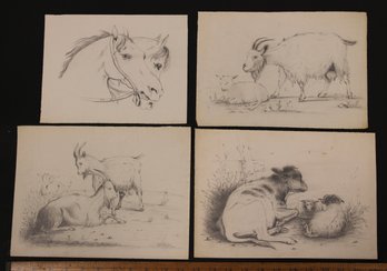 Group Of 4 Antique Pencil Sketches Farm Animals