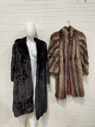 Lot Of 2 Furs?