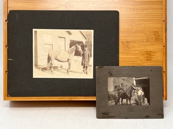 Vintage Horse Photo Lot