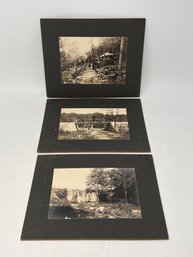 Vintage Photo Lot