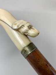 Antique Carved Bone Dog Head Cane