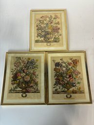 Group Of Framed Vintage Prints