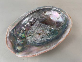 Vintage Abalone Shell