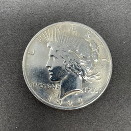 1923 Peace Silver Dollar (11)