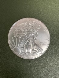 2013 One Ounce Silver Dollar