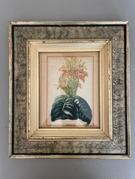 S.Holden Del & Litho Botanical Lithograph Dated 1843