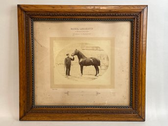 Framed Antique Race Horse European Photograph