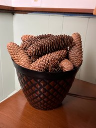 Collection Of Pinecones