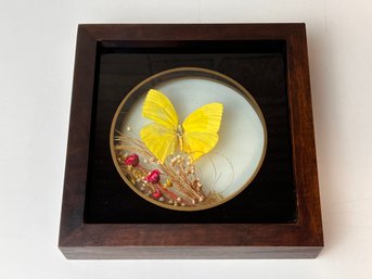 Framed Shadowbox With Butterfly