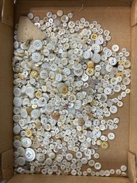 HUGE Antique Button Lot Mother Of Pearl More