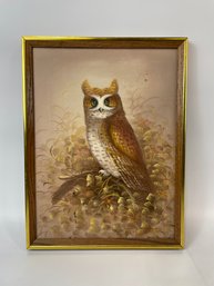 Vintage Framed Owl Portrait
