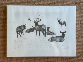 Signed And Numbered Print