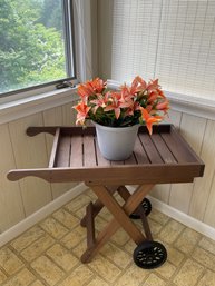 Bar Cart Or Plant Stand