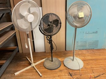 Group Of 3 Fans