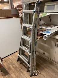 Werner Adjustable Ladder