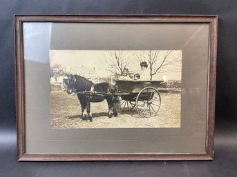 Antique Photograph Of A Horse Drawn Carriage With Family