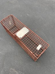 Animal Trap