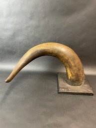 Late 19th Century Mounted Horn