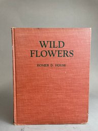 Wild Flowers - Hardcover