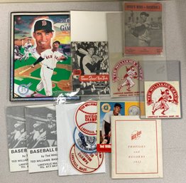 Collection Of Ted Williams Collectibles (29)