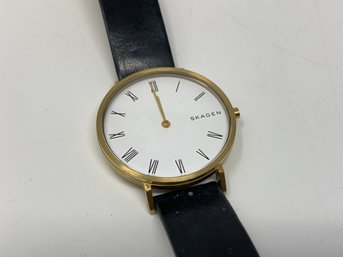 Skagen Wristwatch