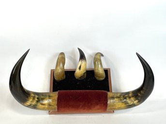 Antique Horn Hat Rack